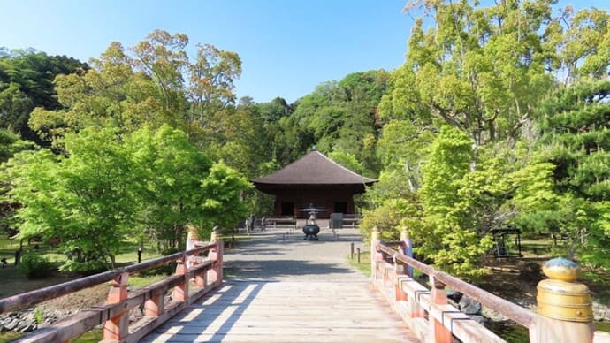 願成寺　白水阿弥陀堂　（いわき市）　黒猫庭で身繕い