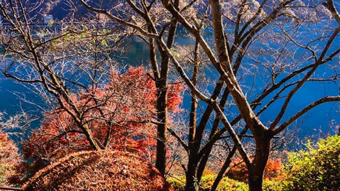 紅葉 奥多摩湖