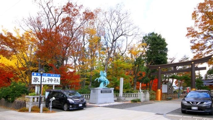 信州・松代　象山神社にも見事な紅葉カエデが･･････！