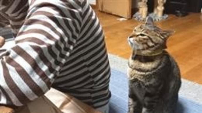 抱きつきレオ