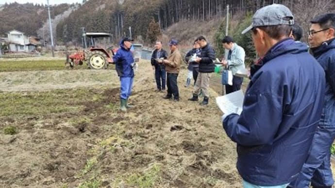 枝もの用クロマツの採苗研修会が開催されました。