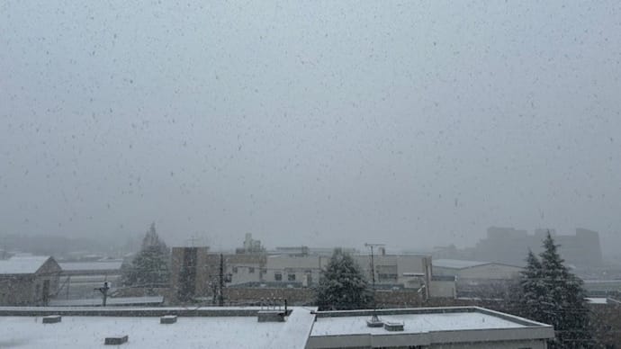 雪だった・・・