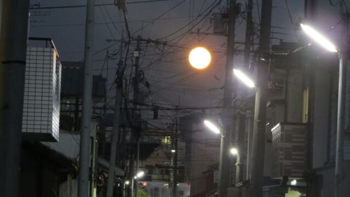 仲秋の名月「芋名月」