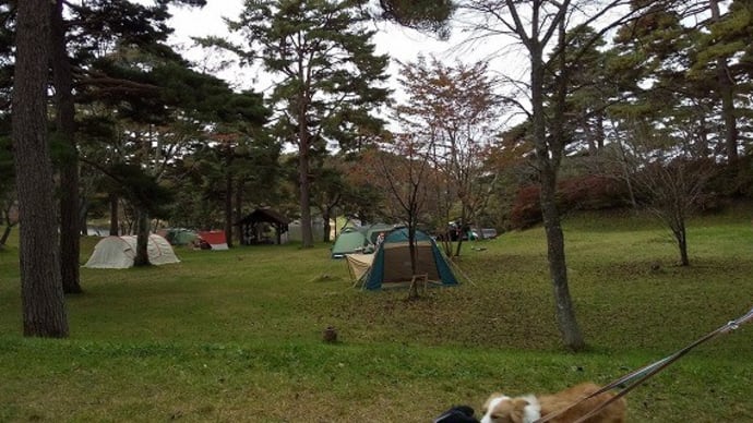 Ｔ公園キャンプ客多し