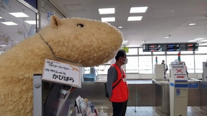 駅ボラ3日目 落ち着いた一日でした