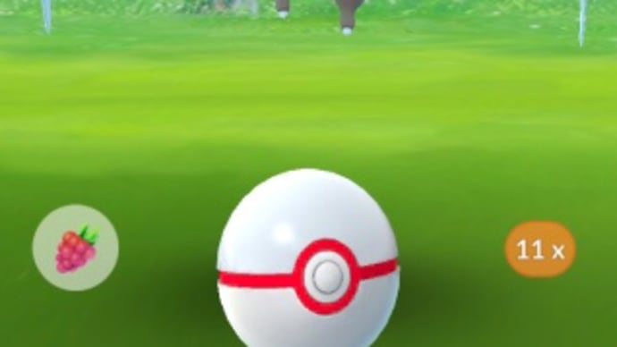 色違いフリーザーとキラポケモン