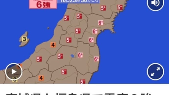 シャインマスカットに追肥とメリット青