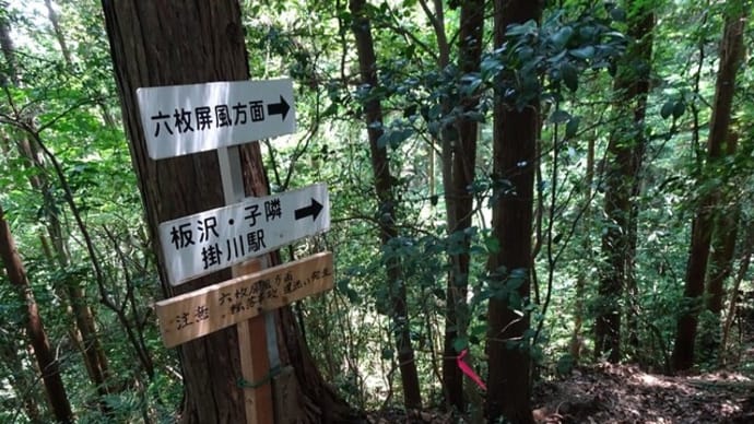 小笠山登頂と小笠神社