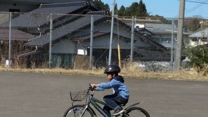 やったね