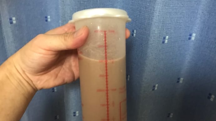長期間保存可能なしその実の醤油漬け&塩漬けレシピ