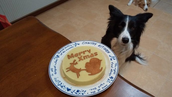 おいもちゃんケーキでメリクリ