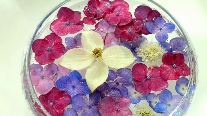 7月の花手水鉢と庭の花