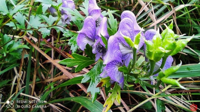 阿蘇の野山を駆け回る!!