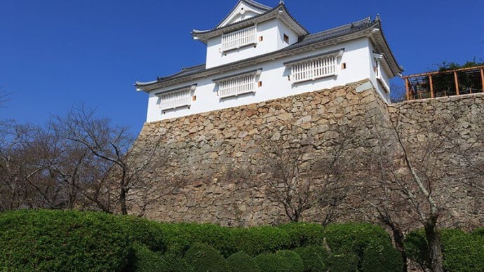 山根知起のおすすめ。