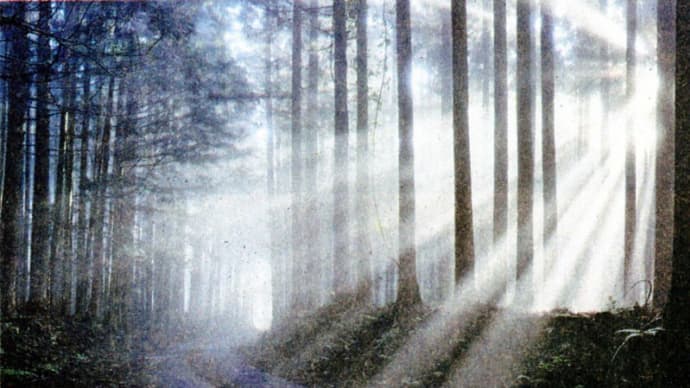 第48回「視点」展 写真は時代の鏡か