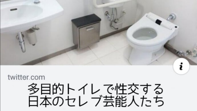 多目的トイレで性交や出産する美しい國ってドコ？