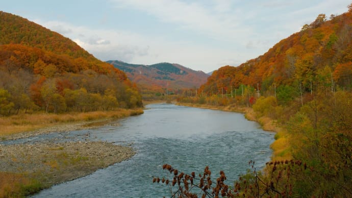 紅葉ツーング、鵡川沿い、宿主別橋:10月27日2021