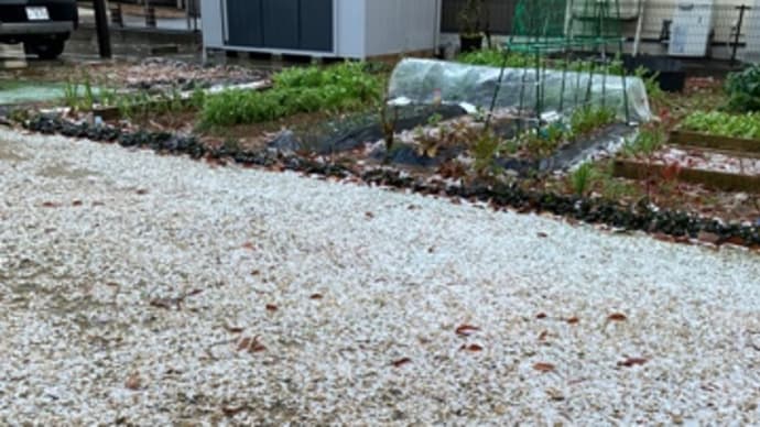雪が降る季節に