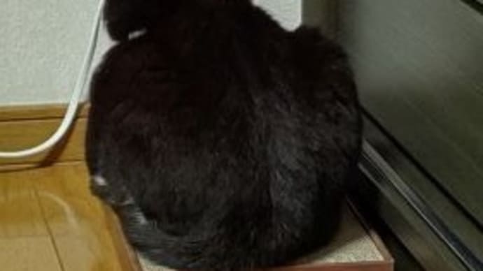 食後に。