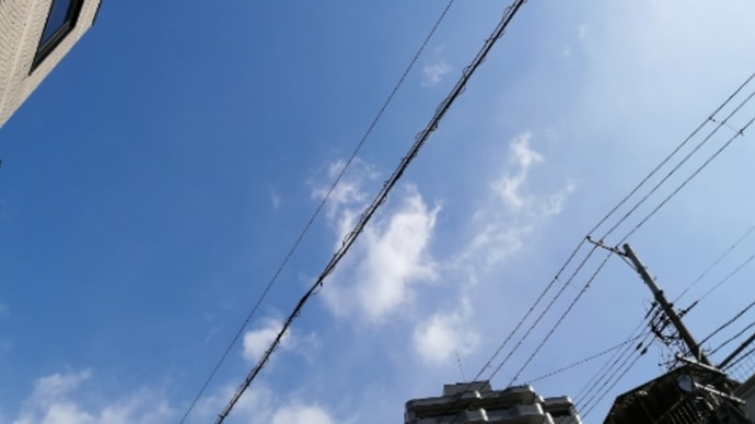 妹ちゃん退院した模様