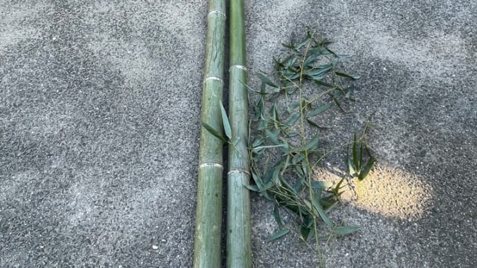 竹伐 2