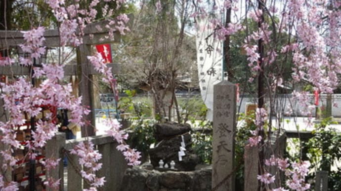 ２０２１年・水火天満宮の桜と登天石　＠　京都妖怪探訪（７３１）