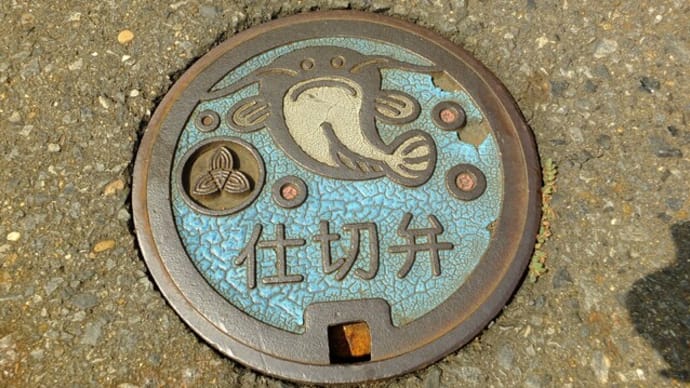 恋に溺れて...いや“鯉”だろ?