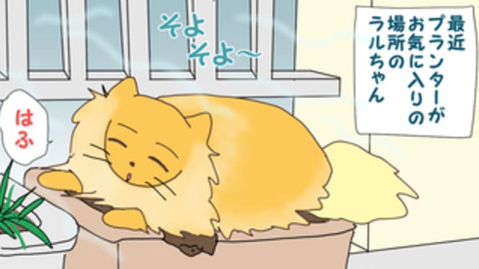 ヒンヤリシーツはじめました