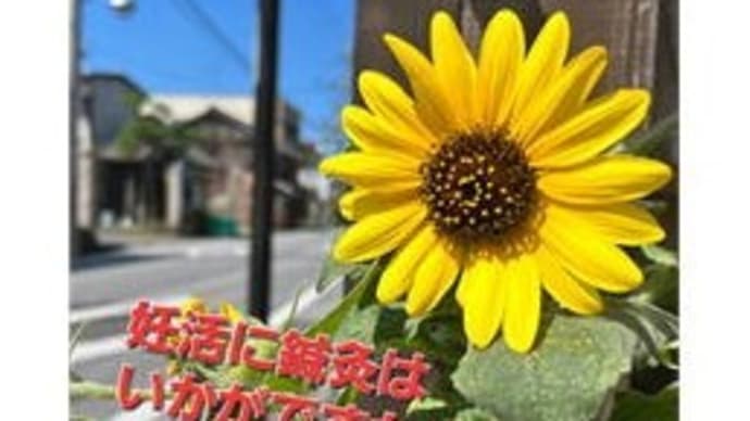 東洋医学のチカラで妊活をサポート