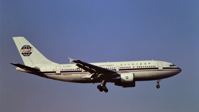 １９９６年１１月１９日宮崎空港（中国西北航空 A310)