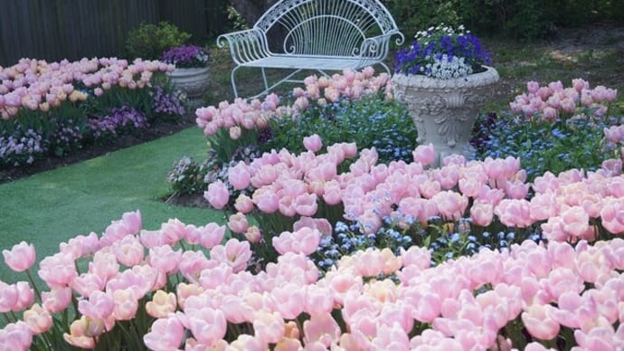 「松阪農業公園ベルファームの春の花」見てきました~(^^) 2023