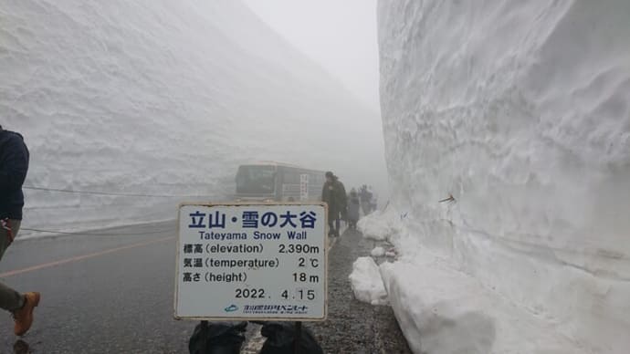 夢の白い壁を見に行こう!(2日目:雪の大谷へ)