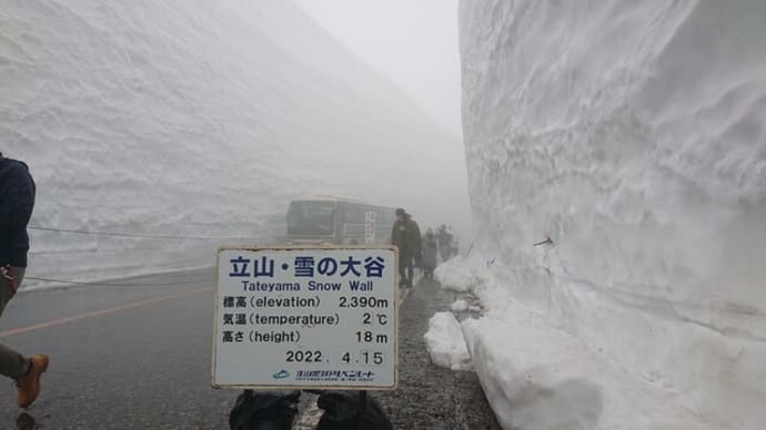 夢の白い壁を見に行こう！（２日目：雪の大谷へ）