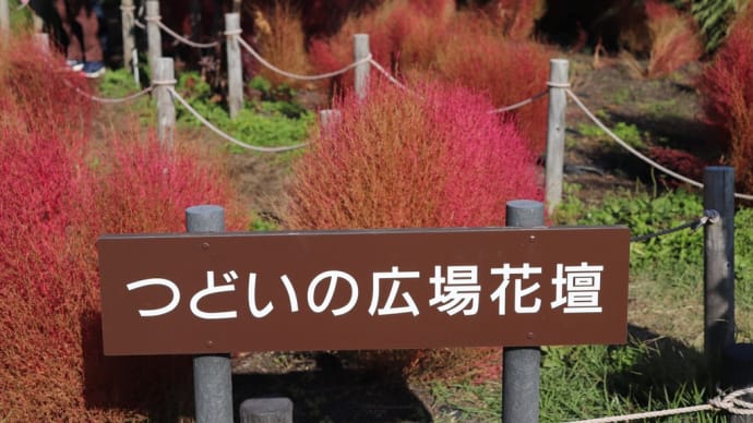 木曾三川公園ラスト♪