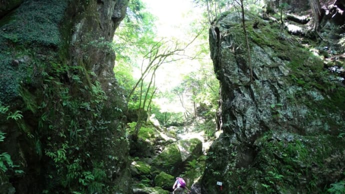棒ノ折山(棒ノ嶺)【東京都・埼玉県】