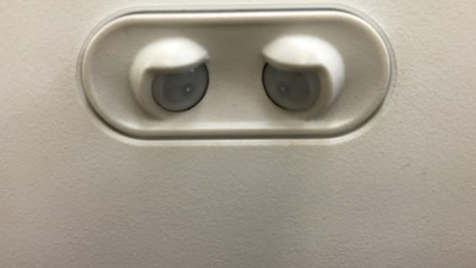 こんなところに、、!