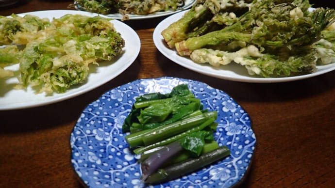 揚げ玉がまだ残ってるのに