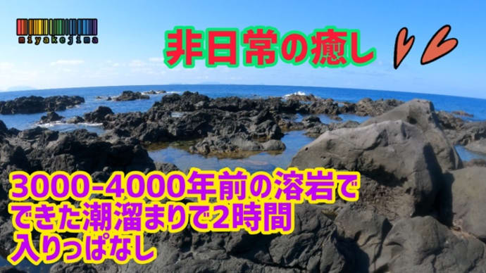 3000-4000年前の溶岩流潮溜まり2時間入りっぱなし
