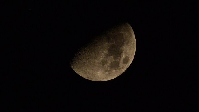03月19日 お月さまがよく見えました。