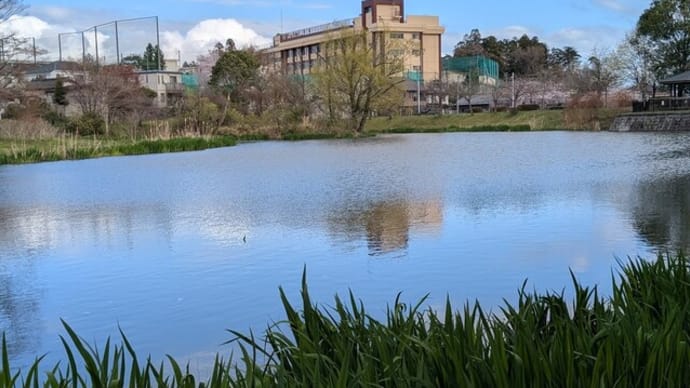 天沼公園