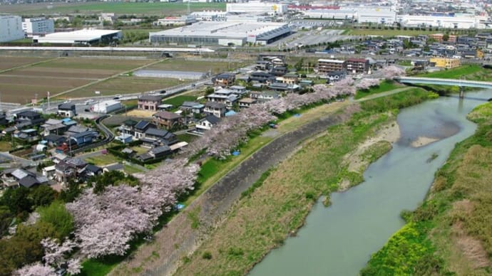 遠州灘フライト(4月14日)