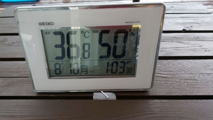 梅雨明け１０日