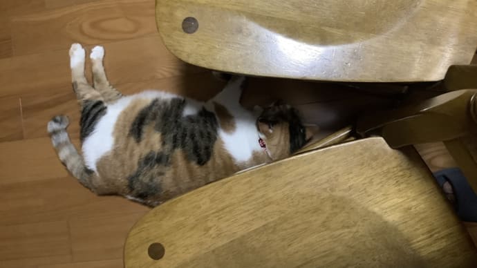 エスプレッソを淹れる