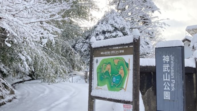 雪