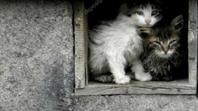 保護を必要とする動物のいない未来