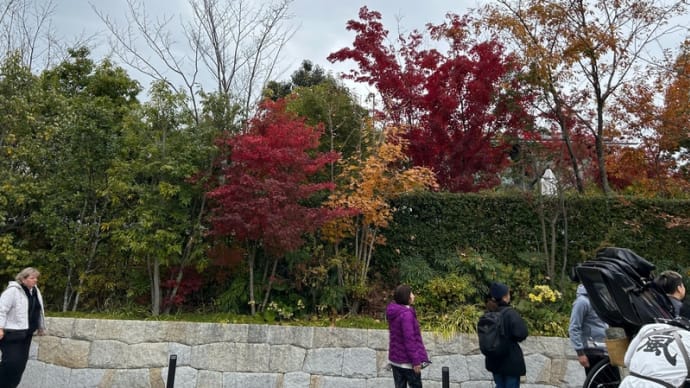  京都や関西の紅葉ほかの旅〈2023年11月）（16）（Day3-10）
