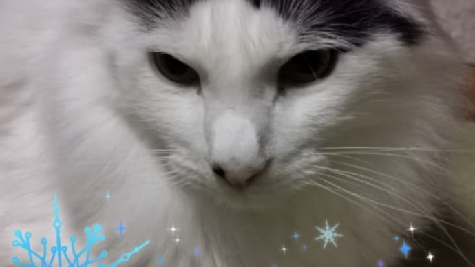 今年もお世話になりました