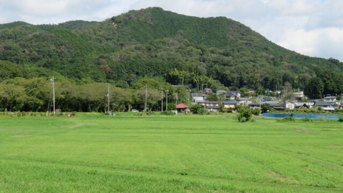 152 巾着田、夏から秋へ