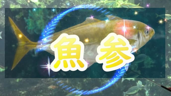 【あわしまマリンパーク】淡島の海の生き物 解説【動画】