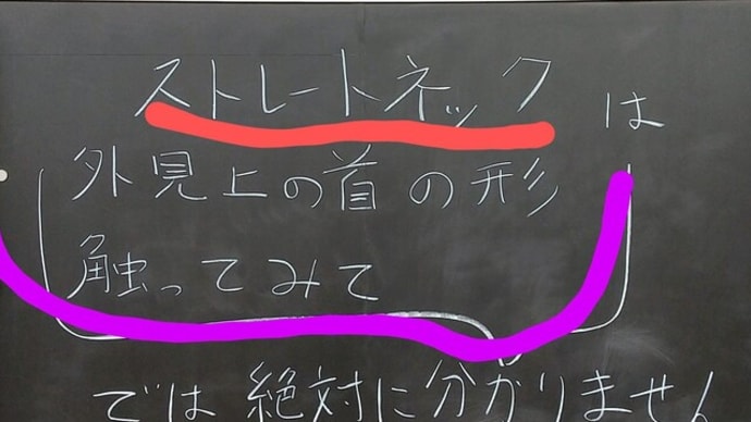 ストレートネックは、絶対に！　外見上から＝視診だけで「確定診断と除外診断」をしてはいけない！